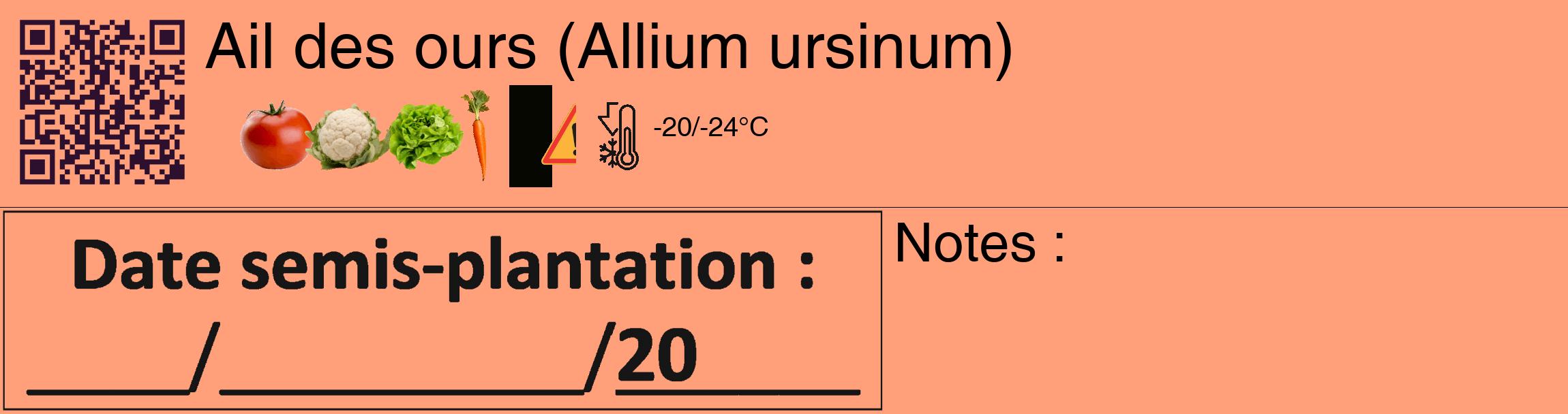 Étiquette de : Allium ursinum - format c - style noire39_basique_basiquehel avec qrcode et comestibilité simplifiée
