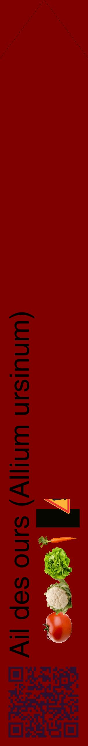 Étiquette de : Allium ursinum - format c - style noire29_simplehel avec qrcode et comestibilité simplifiée