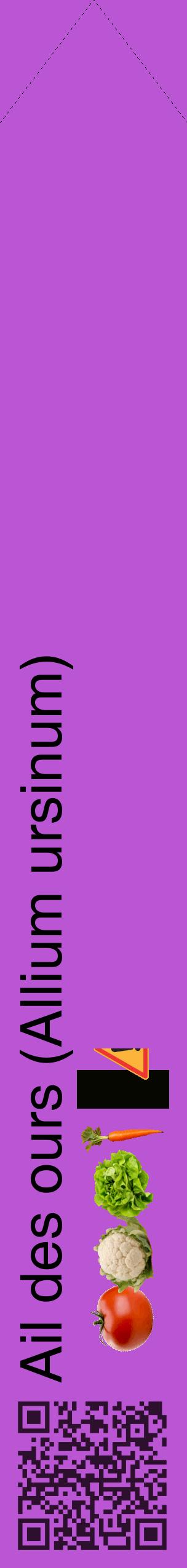 Étiquette de : Allium ursinum - format c - style noire50_simplehel avec qrcode et comestibilité simplifiée