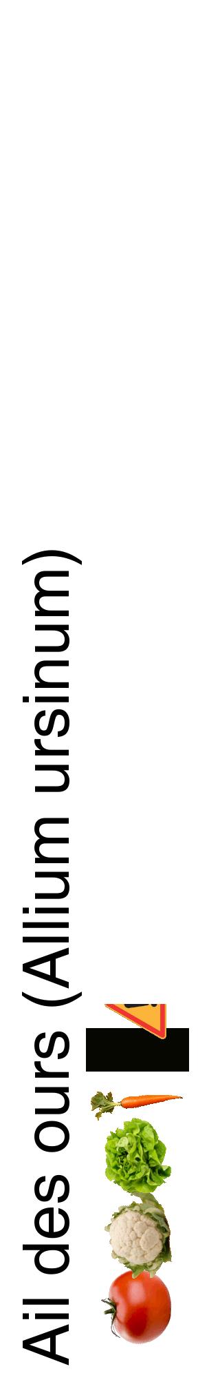Étiquette de : Allium ursinum - format c - style noire60_basiquehel avec comestibilité simplifiée