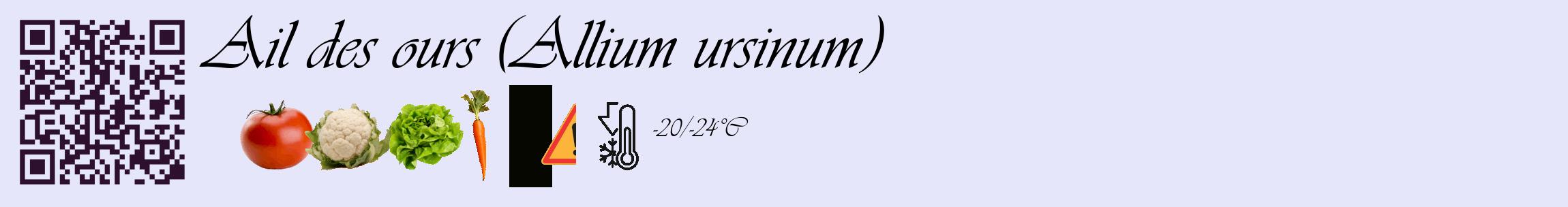 Étiquette de : Allium ursinum - format c - style noire55_basique_basiqueviv avec qrcode et comestibilité simplifiée