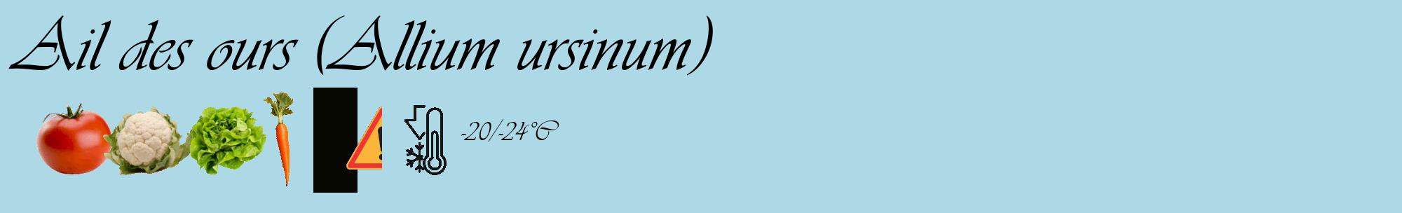Étiquette de : Allium ursinum - format c - style noire0_basique_basiqueviv avec comestibilité simplifiée