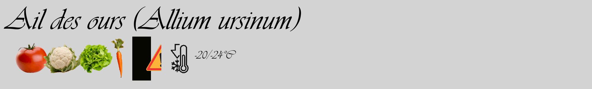 Étiquette de : Allium ursinum - format c - style noire56_basique_basiqueviv avec comestibilité simplifiée