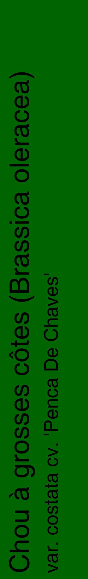 Étiquette de : Brassica oleracea var. costata cv. 'Penca De Chaves' - format c - style noire8_basiquehel avec comestibilité