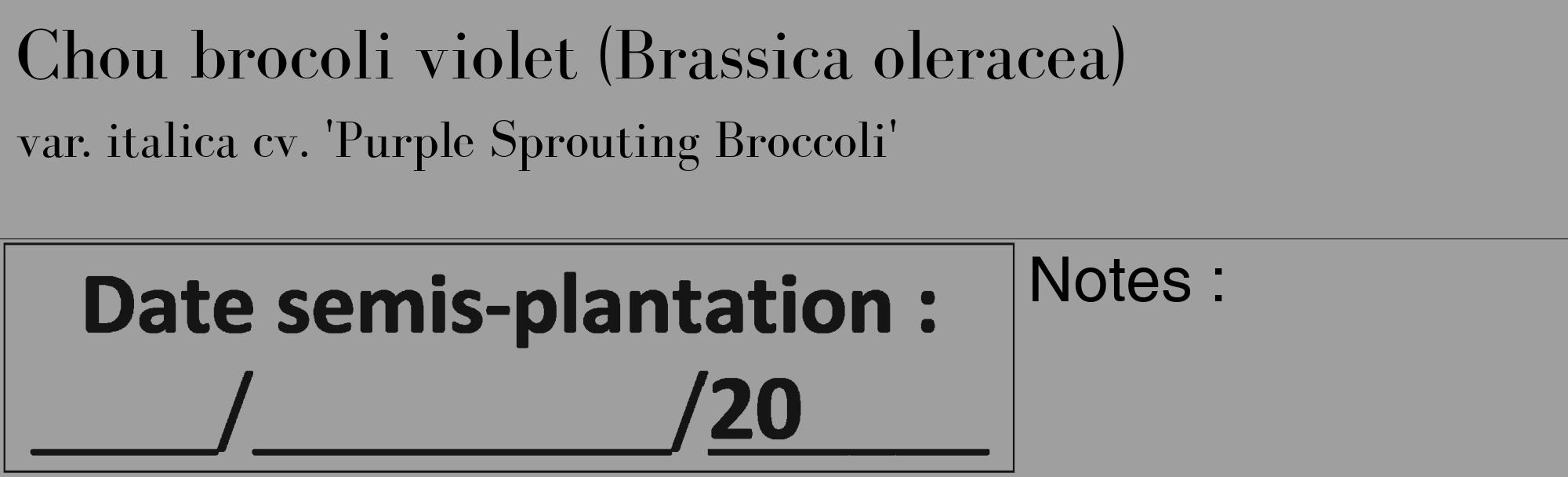 Étiquette de : Brassica oleracea var. italica cv. 'Purple Sprouting Broccoli' - format c - style noire24_basique_basiquebod avec comestibilité