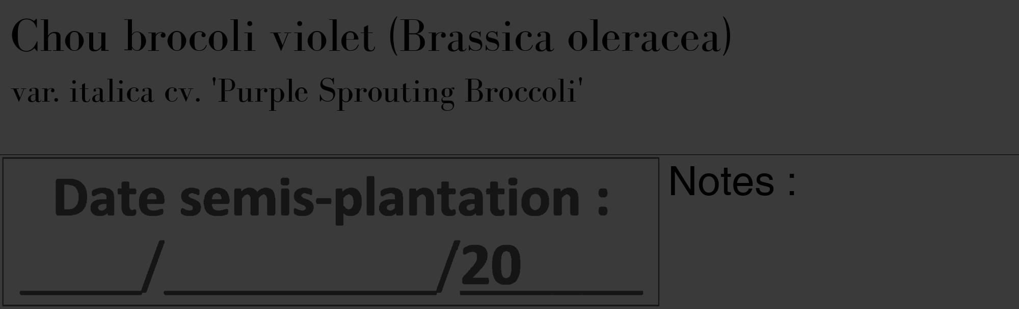 Étiquette de : Brassica oleracea var. italica cv. 'Purple Sprouting Broccoli' - format c - style noire8_basique_basiquebod avec comestibilité