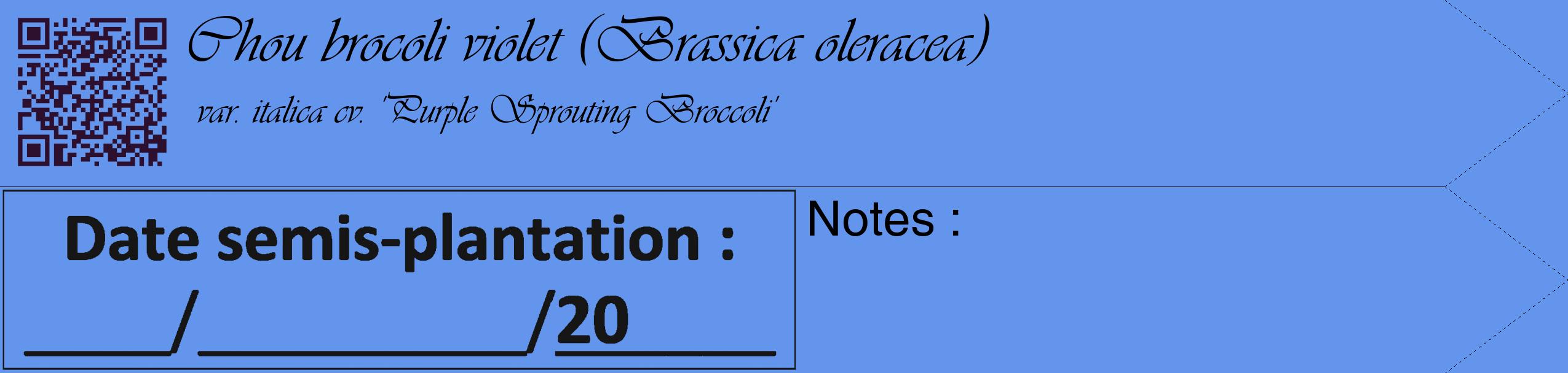 Étiquette de : Brassica oleracea var. italica cv. 'Purple Sprouting Broccoli' - format c - style noire4_simple_simpleviv avec qrcode et comestibilité