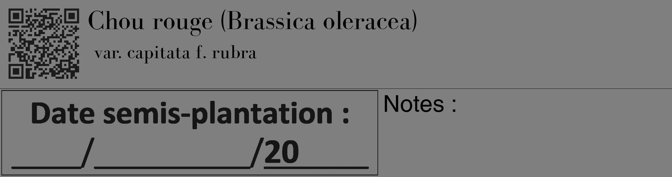 Étiquette de : Brassica oleracea var. capitata f. rubra - format c - style noire31_basique_basiquebod avec qrcode et comestibilité