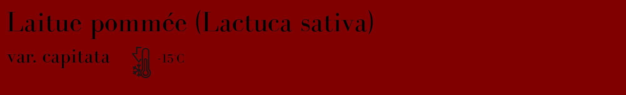 Étiquette de : Lactuca sativa var. capitata - format c - style noire29_basique_basiquebod avec comestibilité