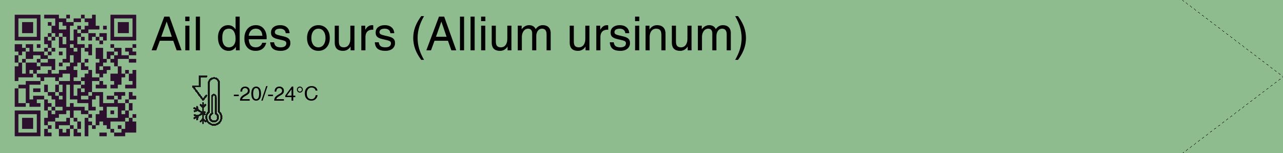 Étiquette de : Allium ursinum - format c - style noire13_simple_simplehel avec qrcode et comestibilité