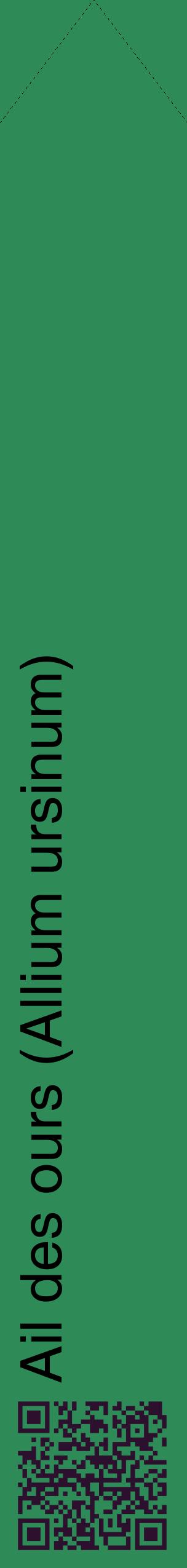 Étiquette de : Allium ursinum - format c - style noire11_simplehel avec qrcode et comestibilité