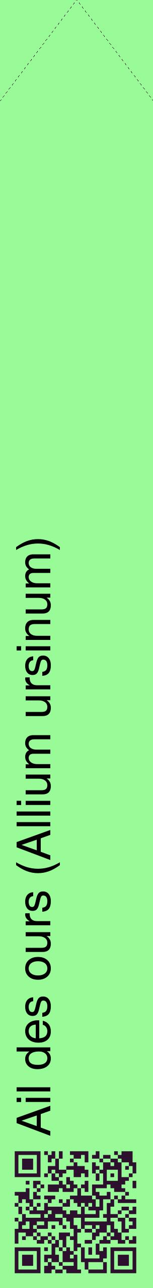 Étiquette de : Allium ursinum - format c - style noire14_simplehel avec qrcode et comestibilité