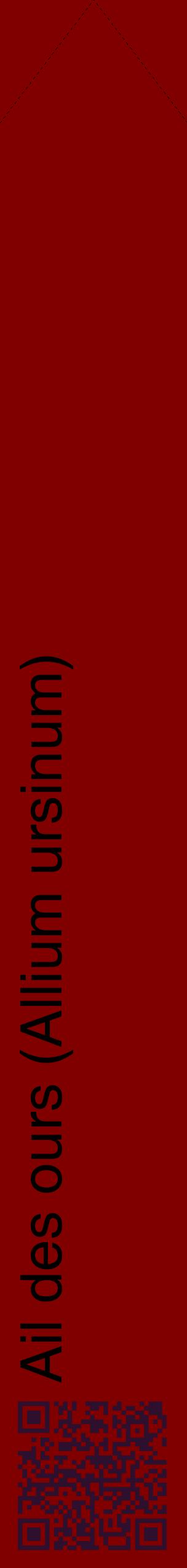 Étiquette de : Allium ursinum - format c - style noire29_simplehel avec qrcode et comestibilité