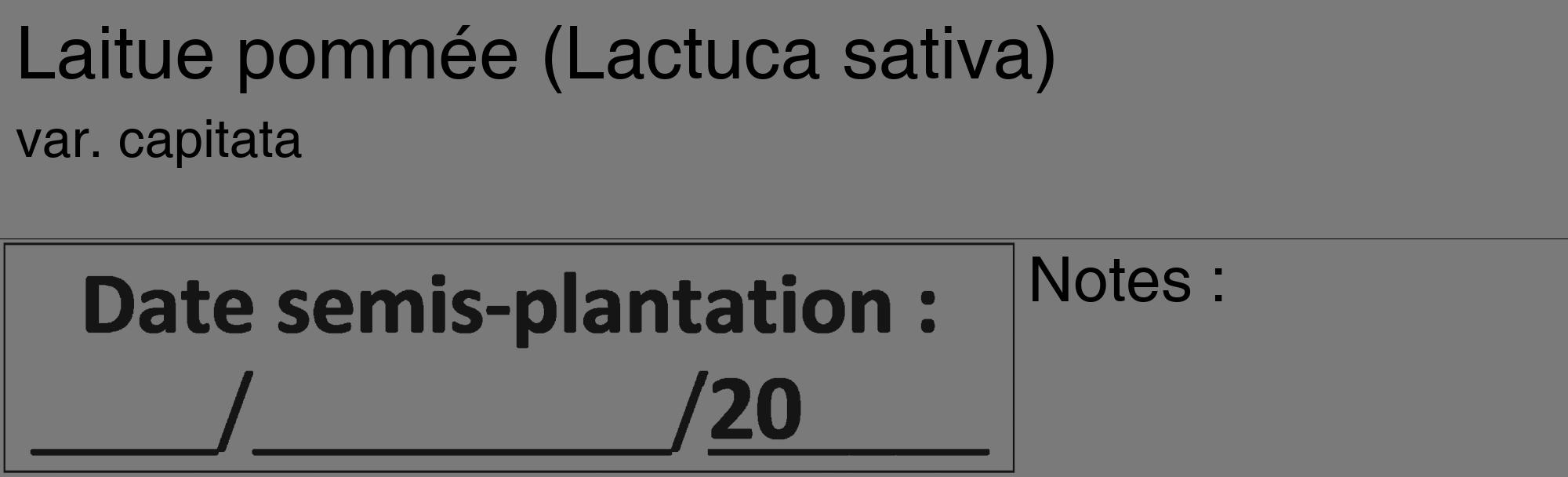 Étiquette de : Lactuca sativa var. capitata - format c - style noire3_basique_basiquehel avec comestibilité