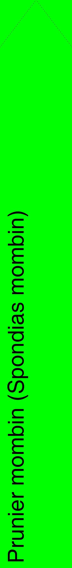Étiquette de : Spondias mombin - format c - style noire16_simplehel avec comestibilité