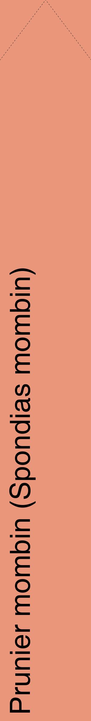 Étiquette de : Spondias mombin - format c - style noire37_simplehel avec comestibilité