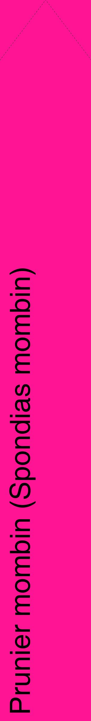 Étiquette de : Spondias mombin - format c - style noire43_simplehel avec comestibilité