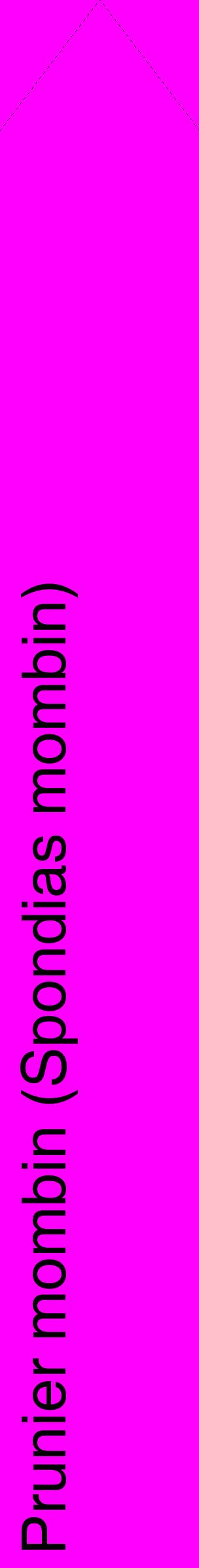 Étiquette de : Spondias mombin - format c - style noire51_simplehel avec comestibilité