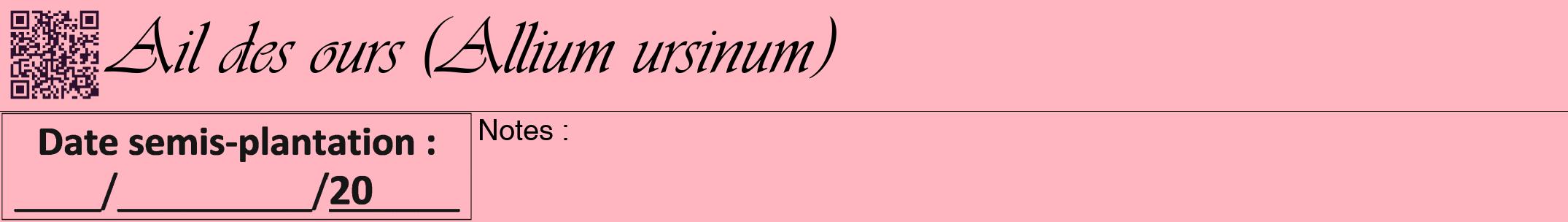 Étiquette de : Allium ursinum - format a - style noire41viv avec qrcode et comestibilité