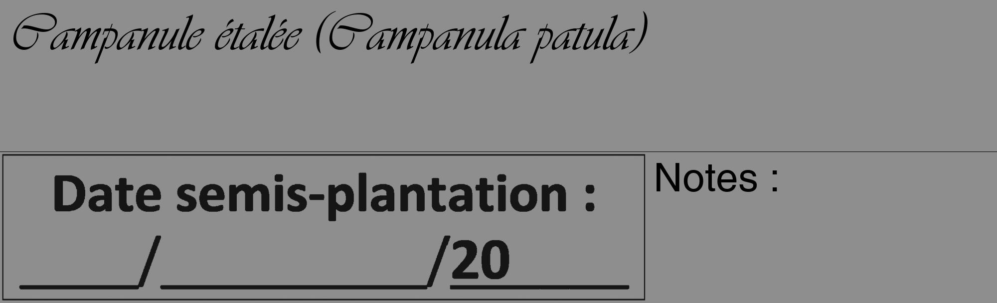 Étiquette de : Campanula patula - format c - style noire25_basique_basiqueviv avec comestibilité
