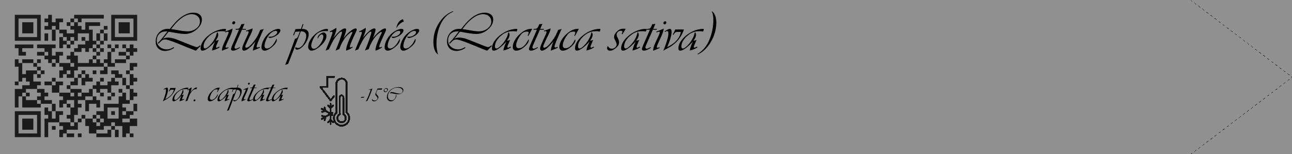 Étiquette de : Lactuca sativa var. capitata - format c - style noire4_simple_simpleviv avec qrcode et comestibilité