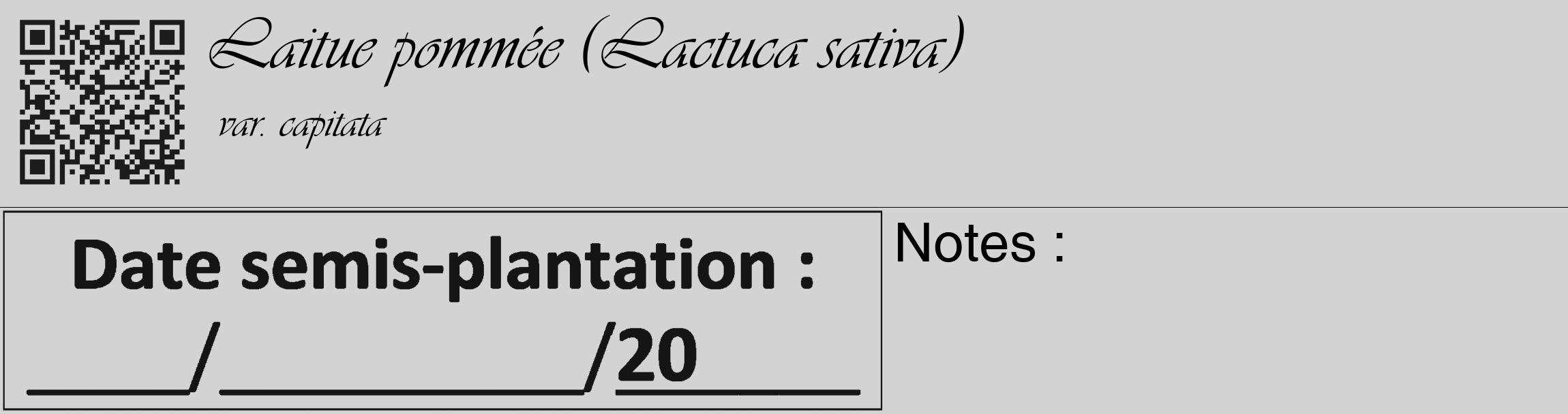Étiquette de : Lactuca sativa var. capitata - format c - style noire56_basique_basiqueviv avec qrcode et comestibilité