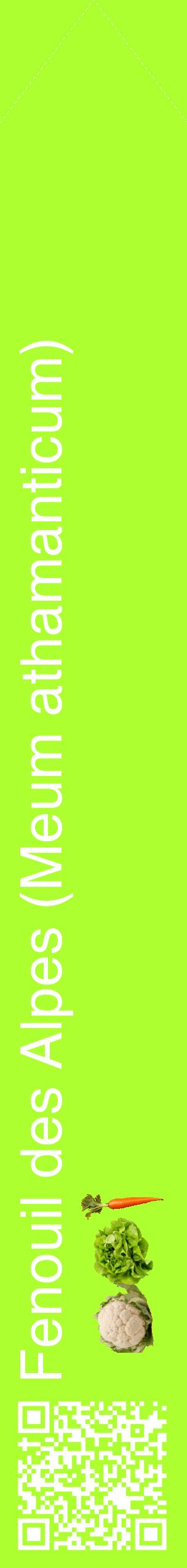 Étiquette de : Meum athamanticum - format c - style blanche17_simplehel avec qrcode et comestibilité simplifiée