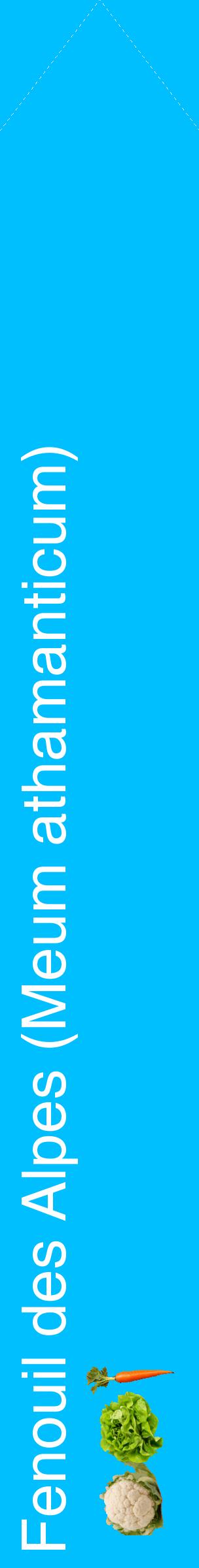 Étiquette de : Meum athamanticum - format c - style blanche2_simplehel avec comestibilité simplifiée