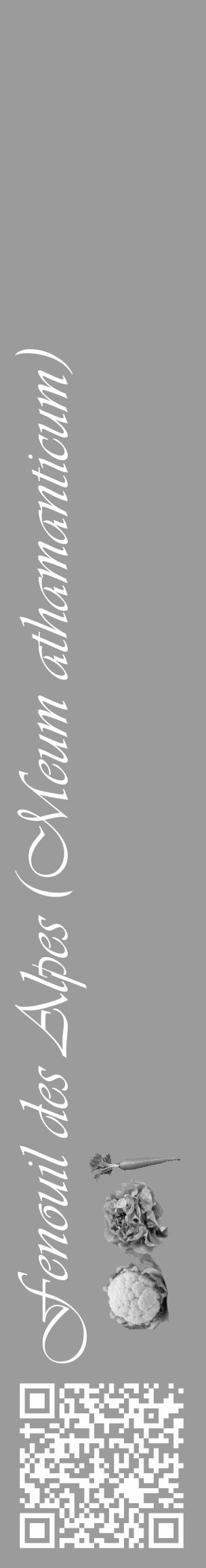 Étiquette de : Meum athamanticum - format c - style blanche52_basique_basiqueviv avec qrcode et comestibilité simplifiée - position verticale