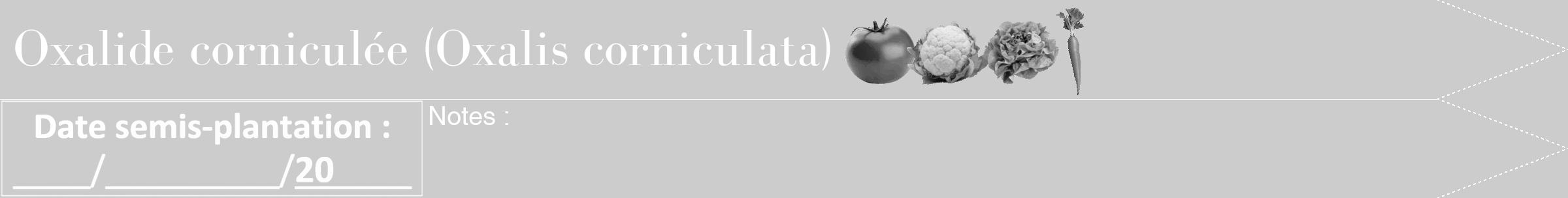 Étiquette de : Oxalis corniculata - format b - style blanche0bod avec comestibilité simplifiée