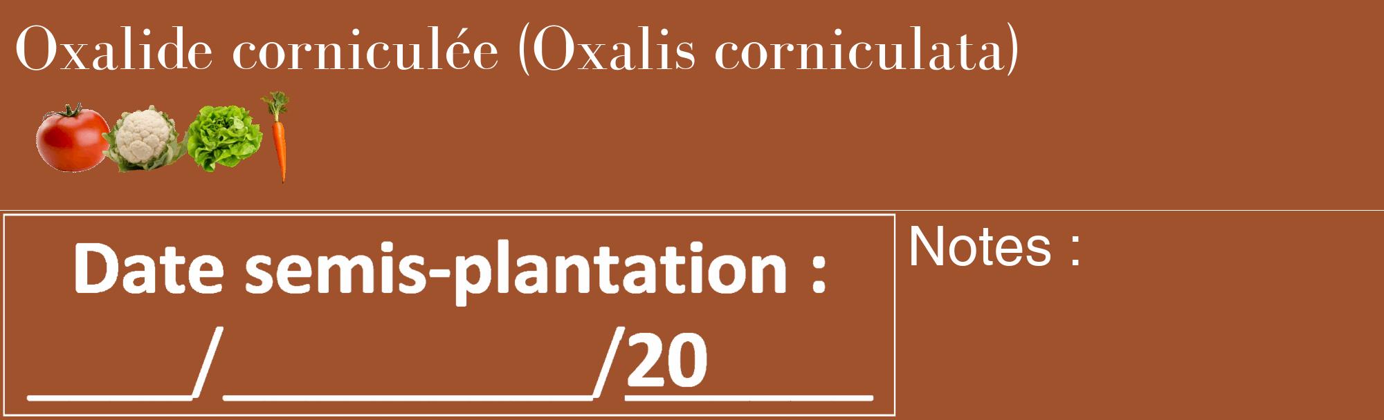 Étiquette de : Oxalis corniculata - format c - style blanche32_basique_basiquebod avec comestibilité simplifiée