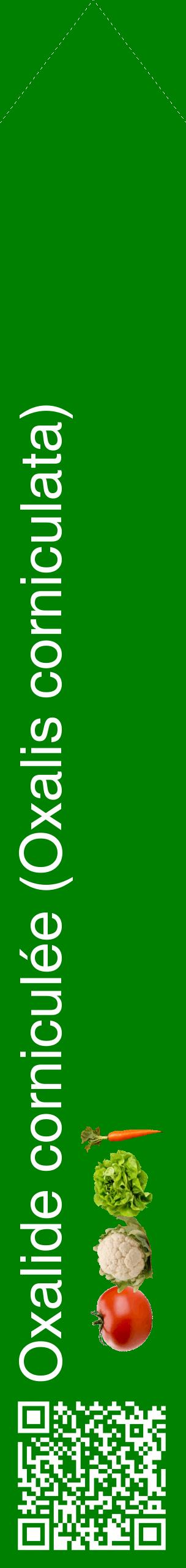 Étiquette de : Oxalis corniculata - format c - style blanche9_simplehel avec qrcode et comestibilité simplifiée