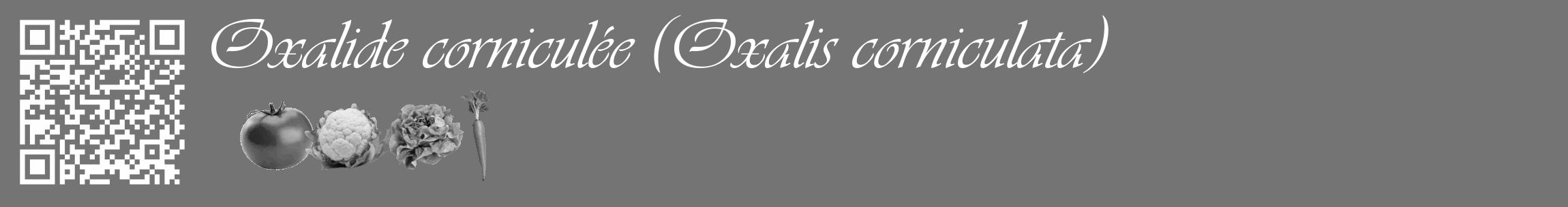 Étiquette de : Oxalis corniculata - format c - style blanche26_basique_basiqueviv avec qrcode et comestibilité simplifiée