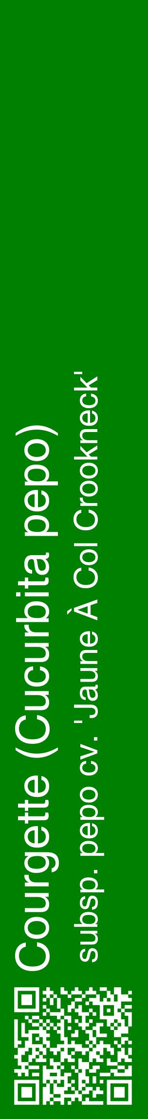 Étiquette de : Cucurbita pepo subsp. pepo cv. 'Jaune À Col Crookneck' - format c - style blanche9_basiquehel avec qrcode et comestibilité