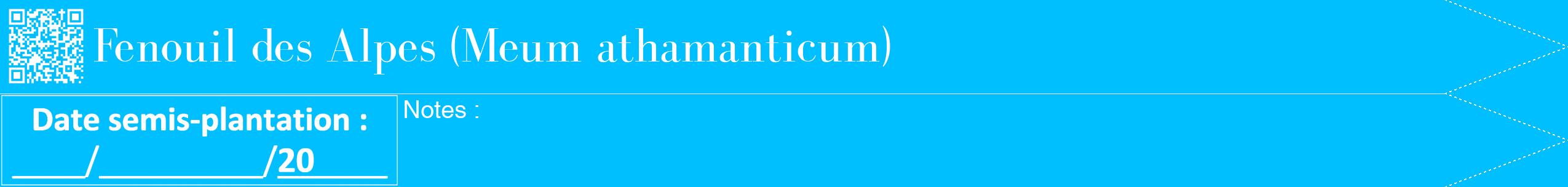 Étiquette de : Meum athamanticum - format b - style blanche2bod avec qrcode et comestibilité