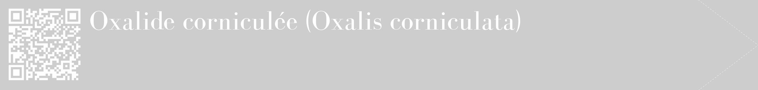 Étiquette de : Oxalis corniculata - format c - style blanche41_simple_simplebod avec qrcode et comestibilité
