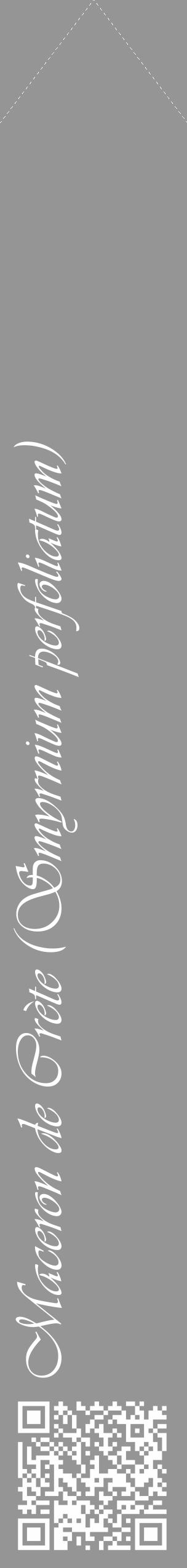 Étiquette de : Smyrnium perfoliatum - format c - style blanche16_simple_simpleviv avec qrcode et comestibilité - position verticale