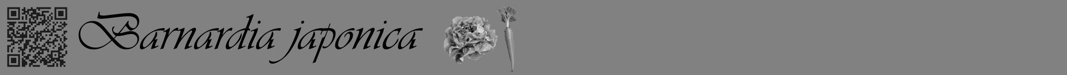 Étiquette de : Barnardia japonica - format a - style noire50viv avec qrcode et comestibilité simplifiée