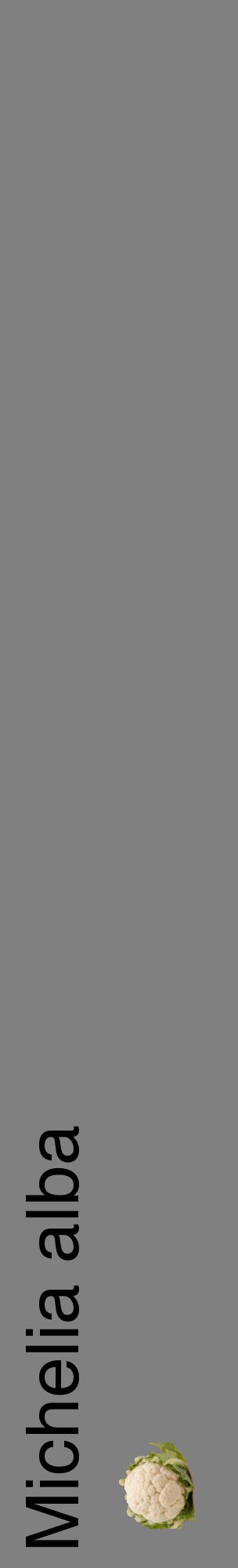 Étiquette de : Michelia alba - format c - style noire57_basiquehel avec comestibilité simplifiée