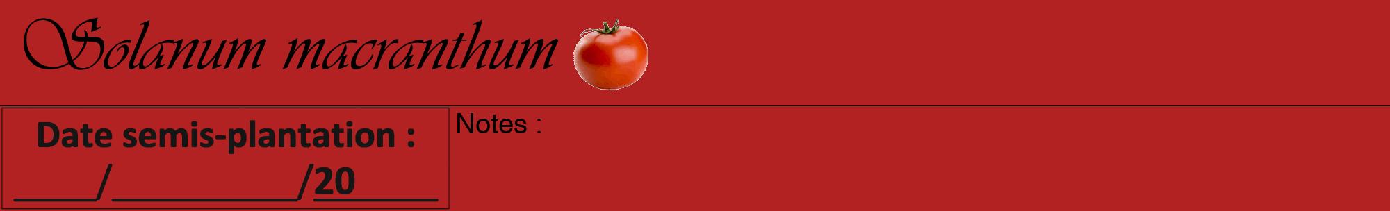 Étiquette de : Solanum macranthum - format a - style noire28viv avec comestibilité simplifiée