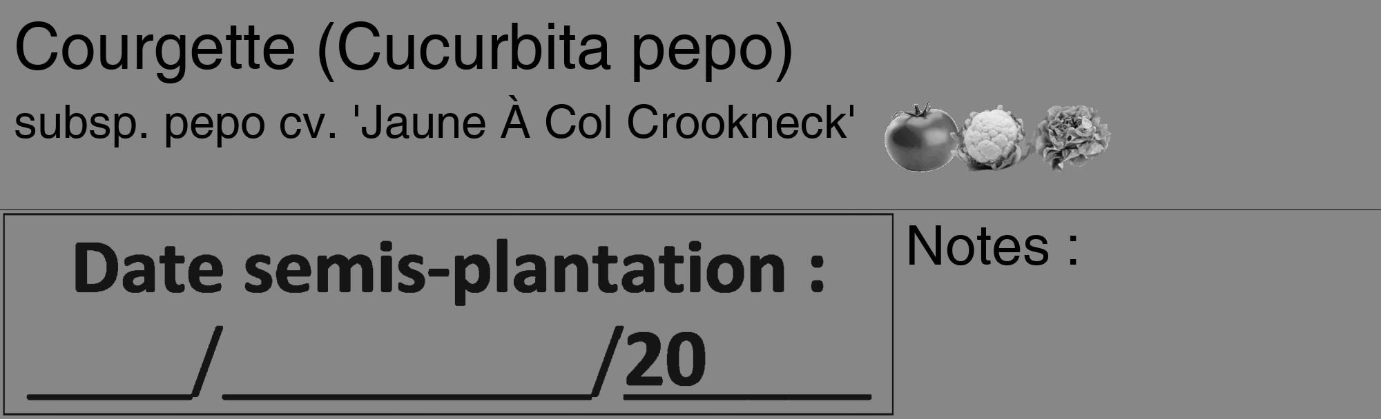 Étiquette de : Cucurbita pepo subsp. pepo cv. 'Jaune À Col Crookneck' - format c - style noire12_basique_basiquehel avec comestibilité simplifiée