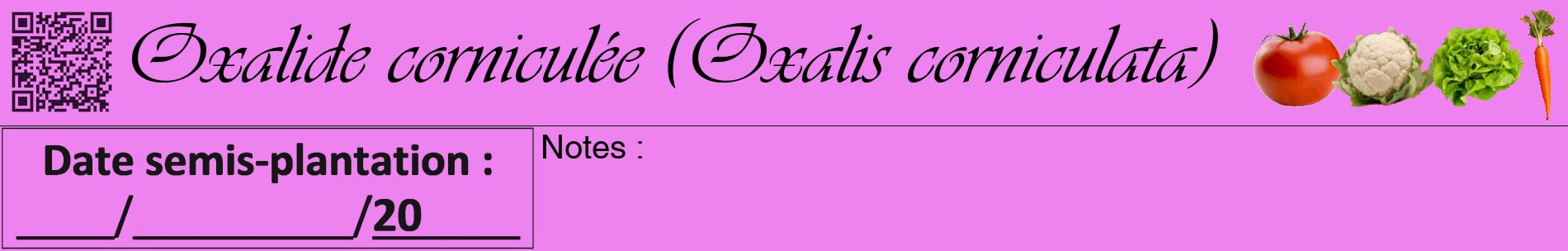 Étiquette de : Oxalis corniculata - format a - style noire53basiqueviv avec qrcode et comestibilité simplifiée