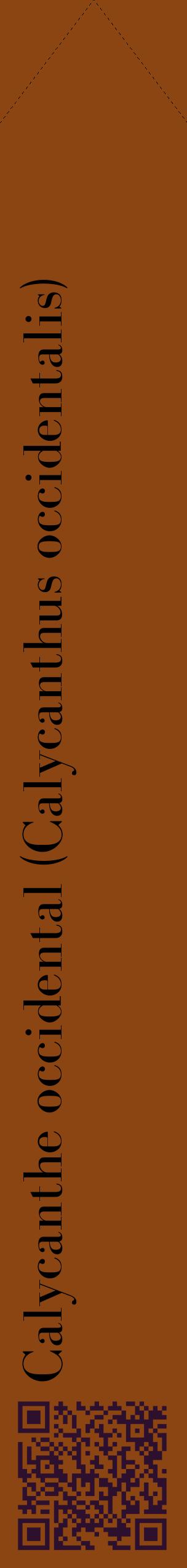 Étiquette de : Calycanthus occidentalis - format c - style noire30_simplebod avec qrcode et comestibilité