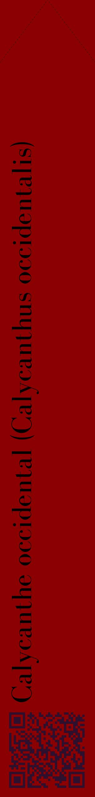 Étiquette de : Calycanthus occidentalis - format c - style noire34_simplebod avec qrcode et comestibilité