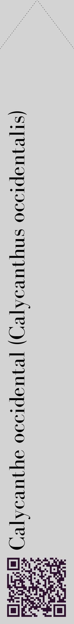 Étiquette de : Calycanthus occidentalis - format c - style noire56_simplebod avec qrcode et comestibilité