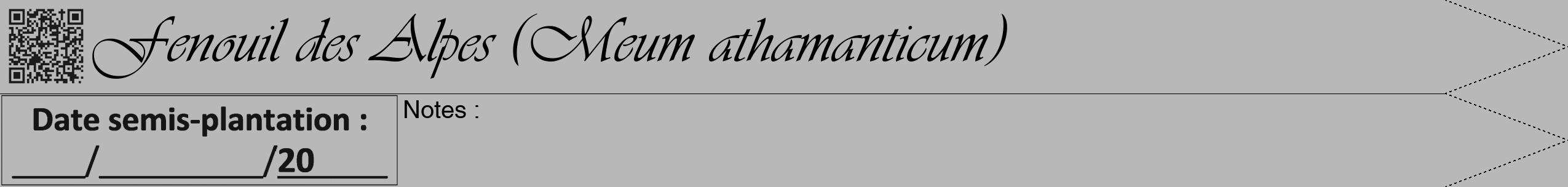 Étiquette de : Meum athamanticum - format b - style noire39viv avec qrcode et comestibilité
