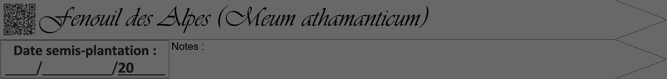 Étiquette de : Meum athamanticum - format b - style noire43viv avec qrcode et comestibilité