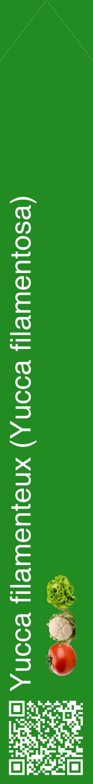 Étiquette de : Yucca filamentosa - format c - style blanche10_simplehel avec qrcode et comestibilité simplifiée