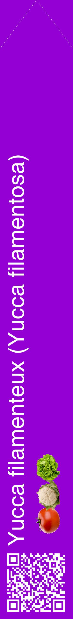 Étiquette de : Yucca filamentosa - format c - style blanche48_simplehel avec qrcode et comestibilité simplifiée