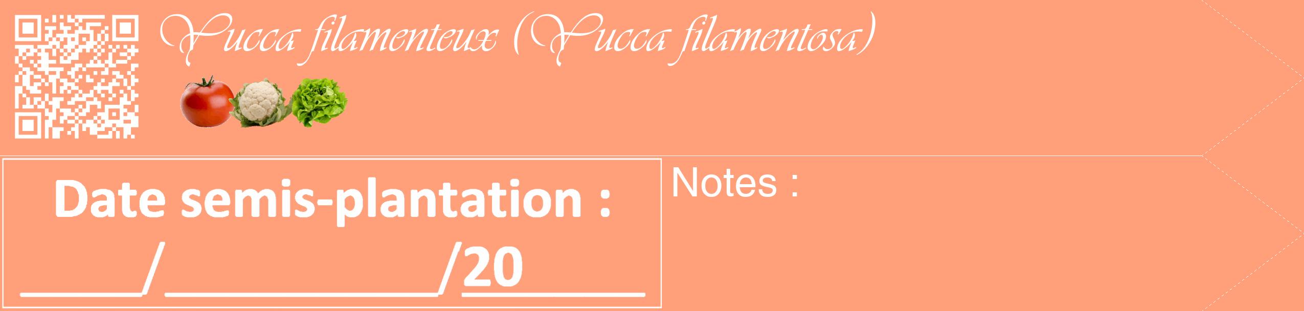 Étiquette de : Yucca filamentosa - format c - style blanche39_simple_simpleviv avec qrcode et comestibilité simplifiée